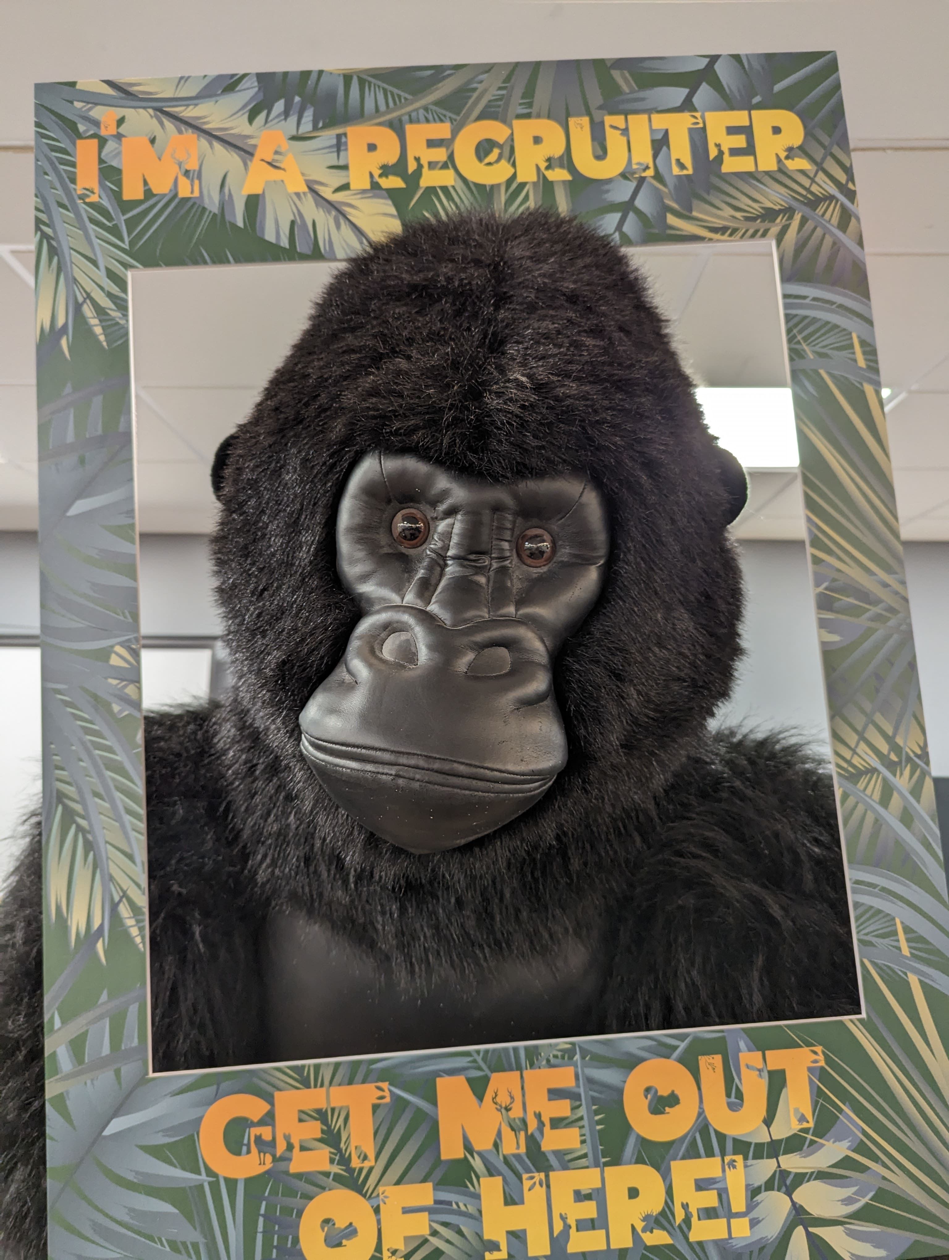 A close-up of a large stuffed gorilla inside a selfie frame.